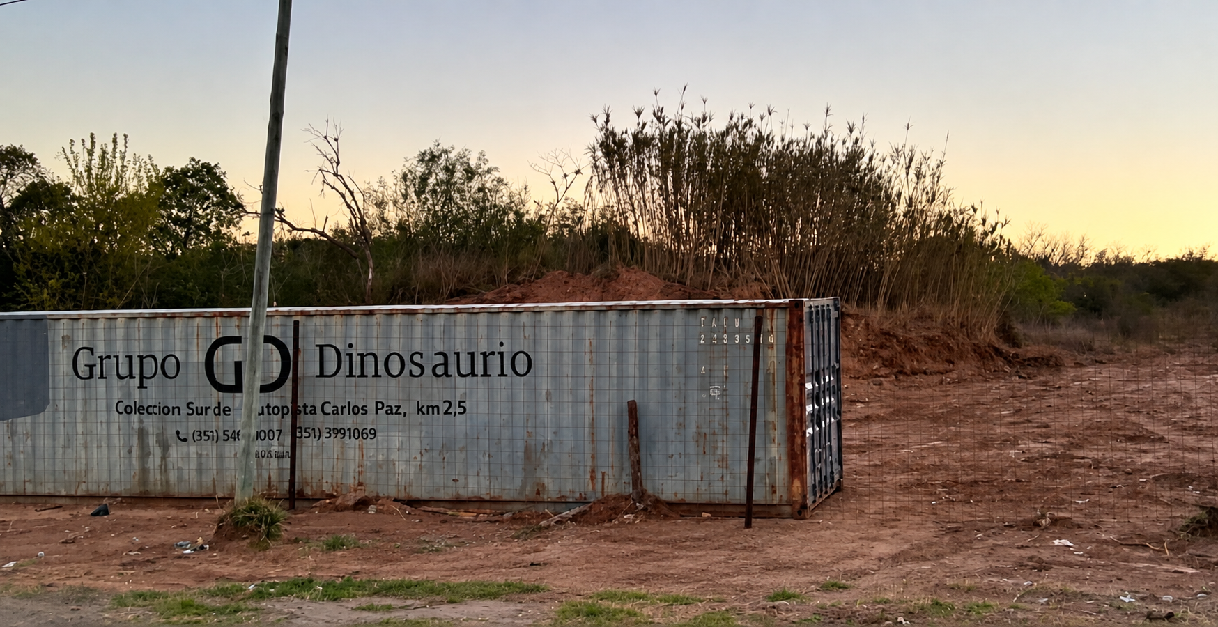 Dino